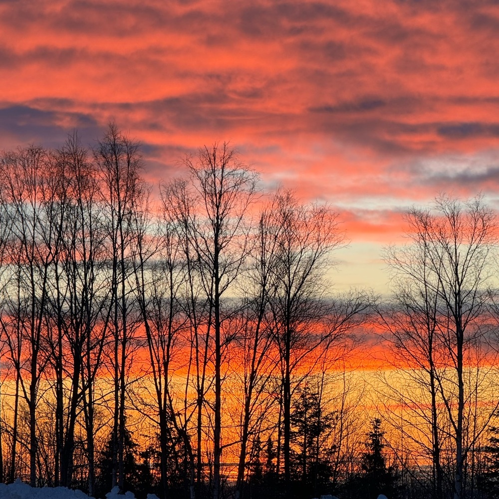Alaska Photo Gallery